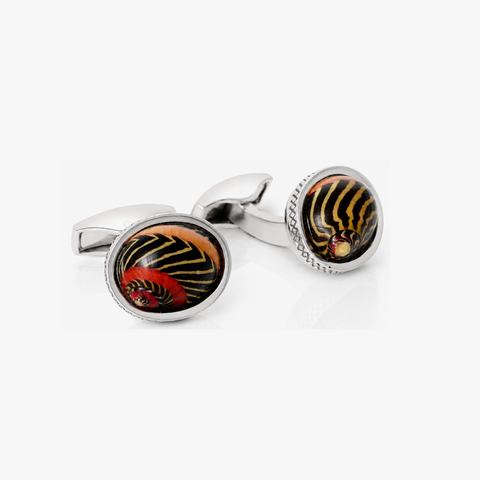 NERITINA SHELL LIMITED EDITION